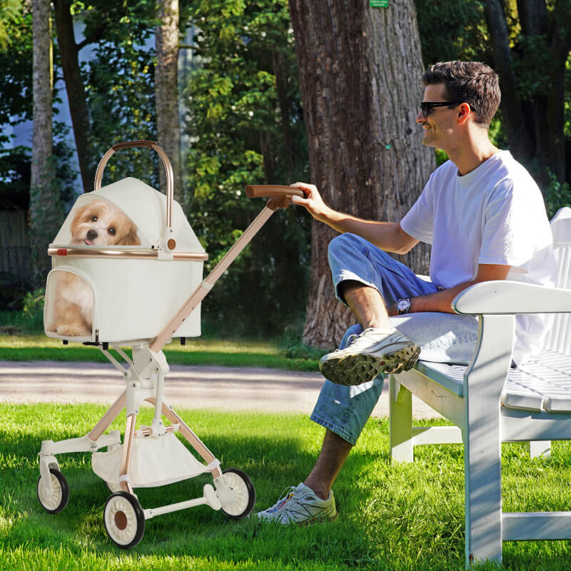 How to Assemble your Dog Stroller?