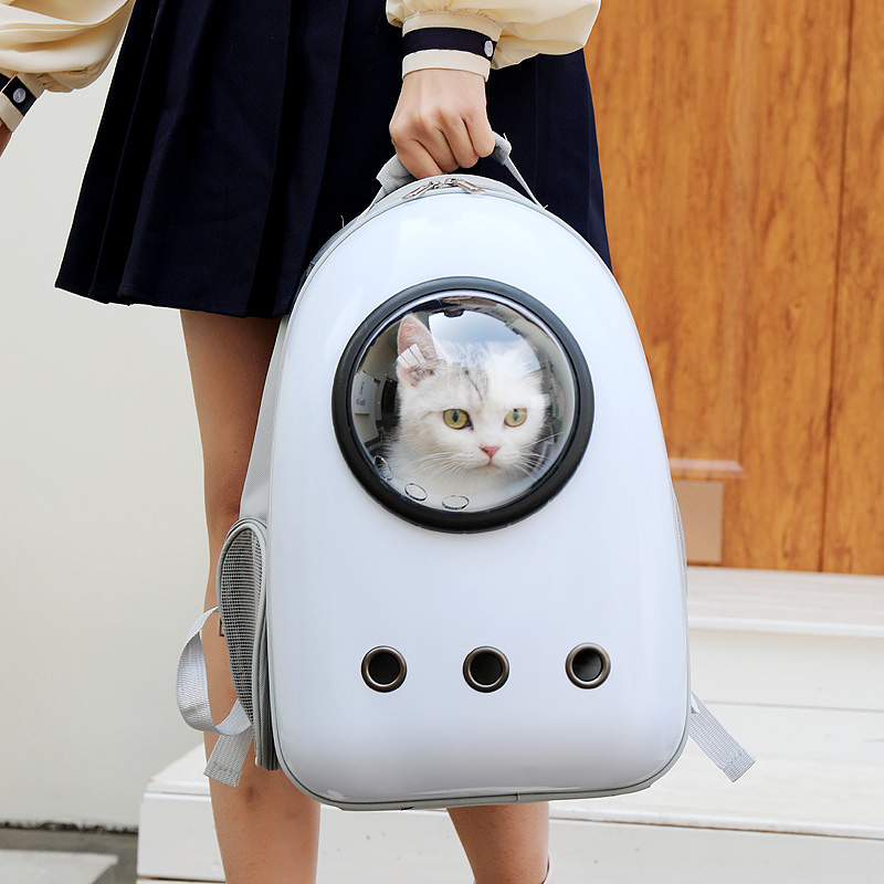 Cat carrier with transparent bubble