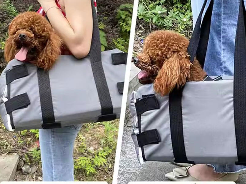 pet carrier 